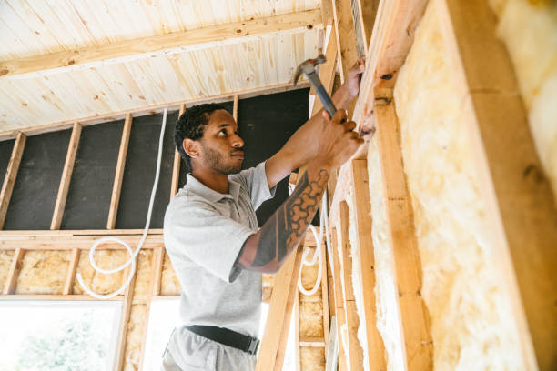 Best Attic Insulation Installation  in Elsberry, MO